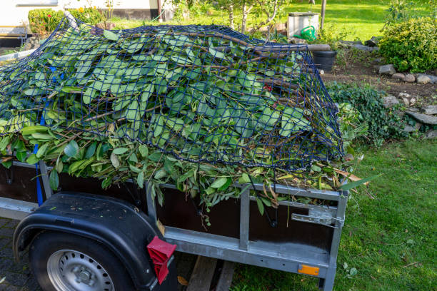 Best Dumpster Rental Services  in Union Park, FL